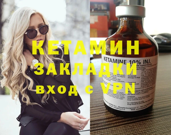 индика Нея