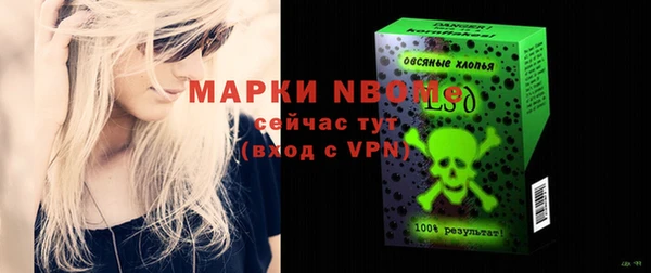 индика Нея