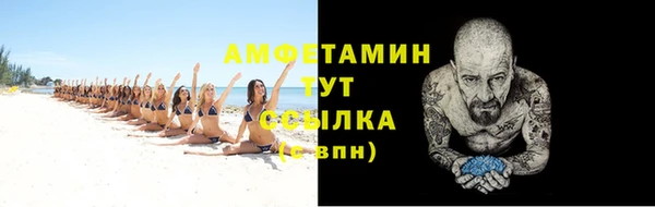 индика Нея
