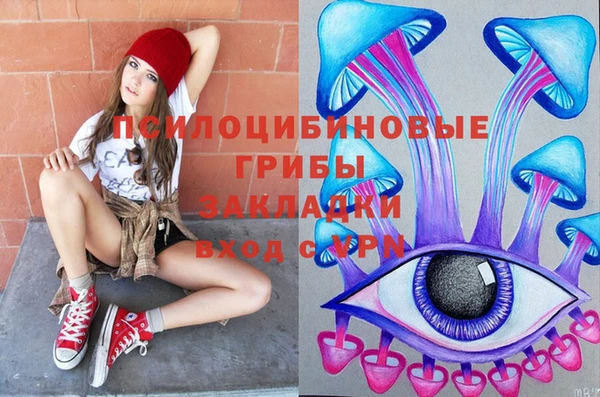 индика Нея