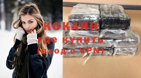 индика Нея