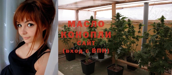 индика Нея
