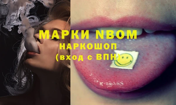 хмурый Нефтекумск