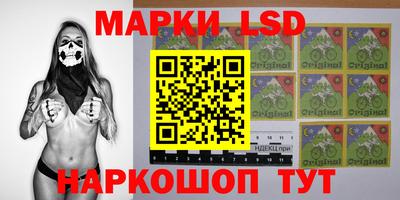 мет Кингисепп