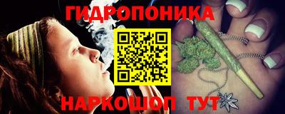 мет Кингисепп