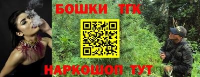 мет Кингисепп