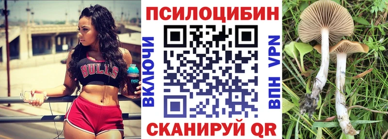 omg ТОР  Североуральск  Галлюциногенные грибы Psilocybine cubensis 