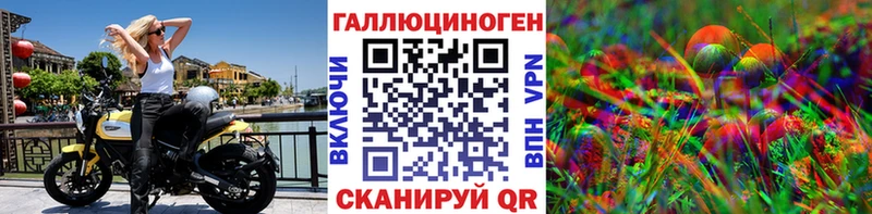 Псилоцибиновые грибы Psilocybine cubensis Североуральск