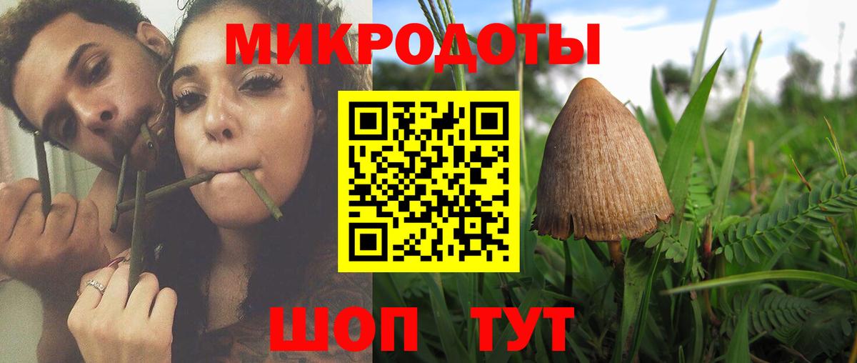 Псилоцибиновые грибы Cubensis Североуральск